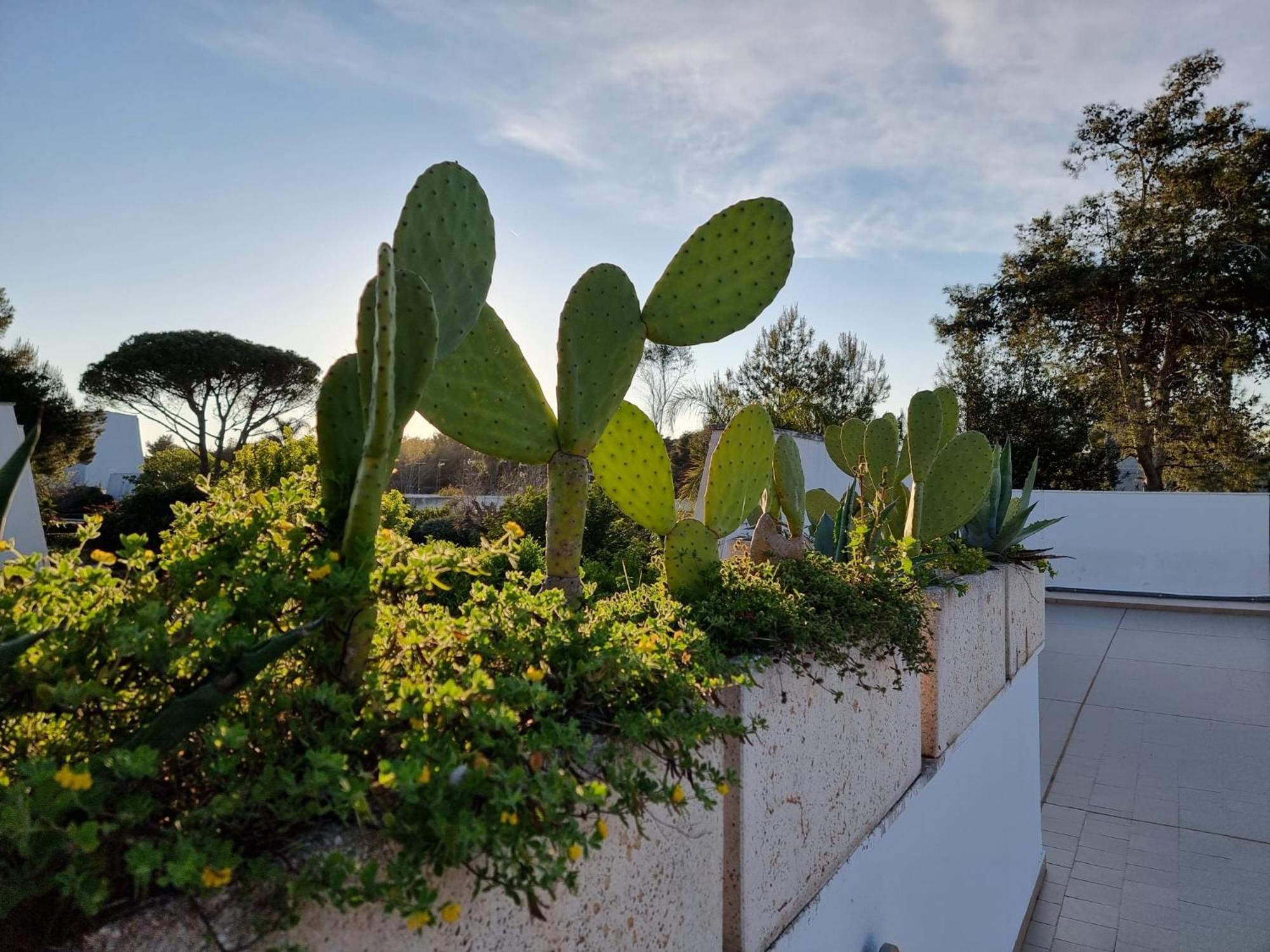 73059 Villa Ugento Dış mekan fotoğraf